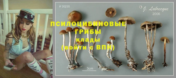 ГАЛЛЮЦИНОГЕННЫЕ ГРИБЫ Касимов