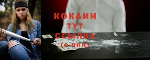 ГАЛЛЮЦИНОГЕННЫЕ ГРИБЫ Касимов