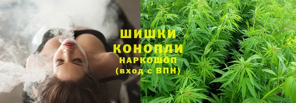 ГАЛЛЮЦИНОГЕННЫЕ ГРИБЫ Касимов