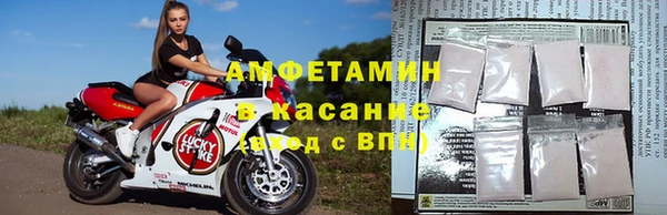 ГАЛЛЮЦИНОГЕННЫЕ ГРИБЫ Касимов