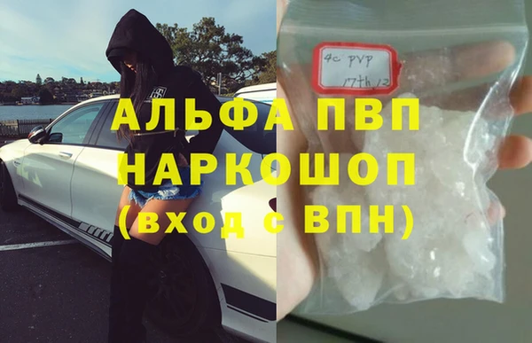 ГАЛЛЮЦИНОГЕННЫЕ ГРИБЫ Касимов