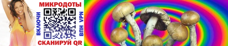 Купить  Верхнеуральск  Псилоцибиновые грибы GOLDEN TEACHER 
